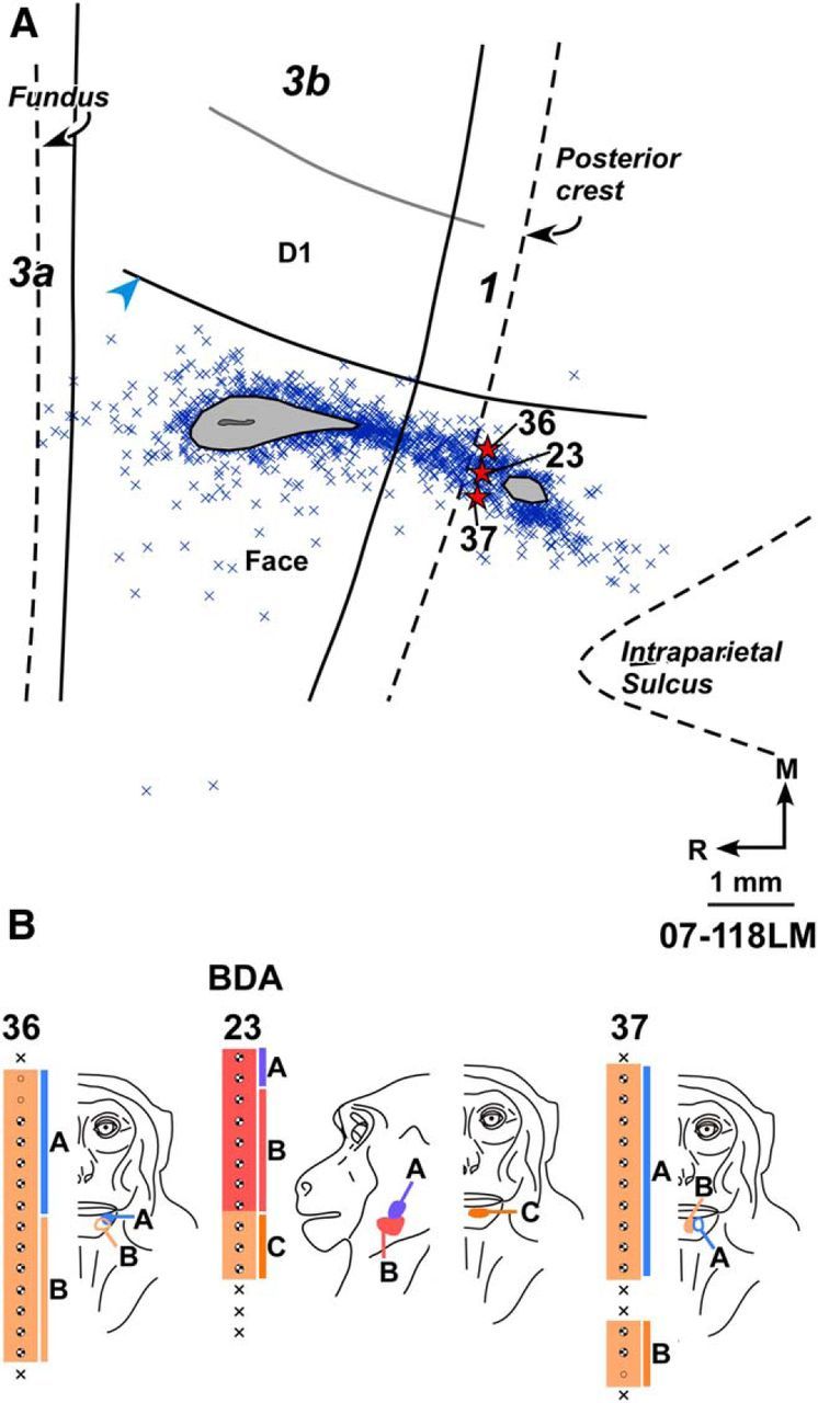 Figure 6.