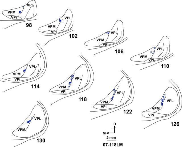 Figure 11.