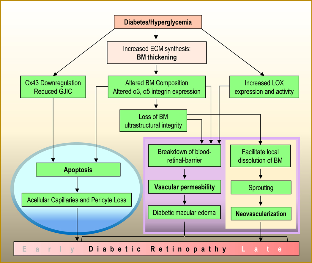 Figure 10.