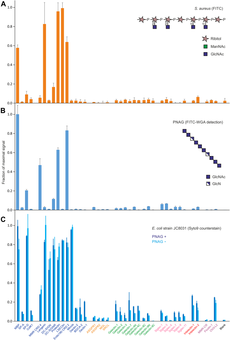 Figure 4