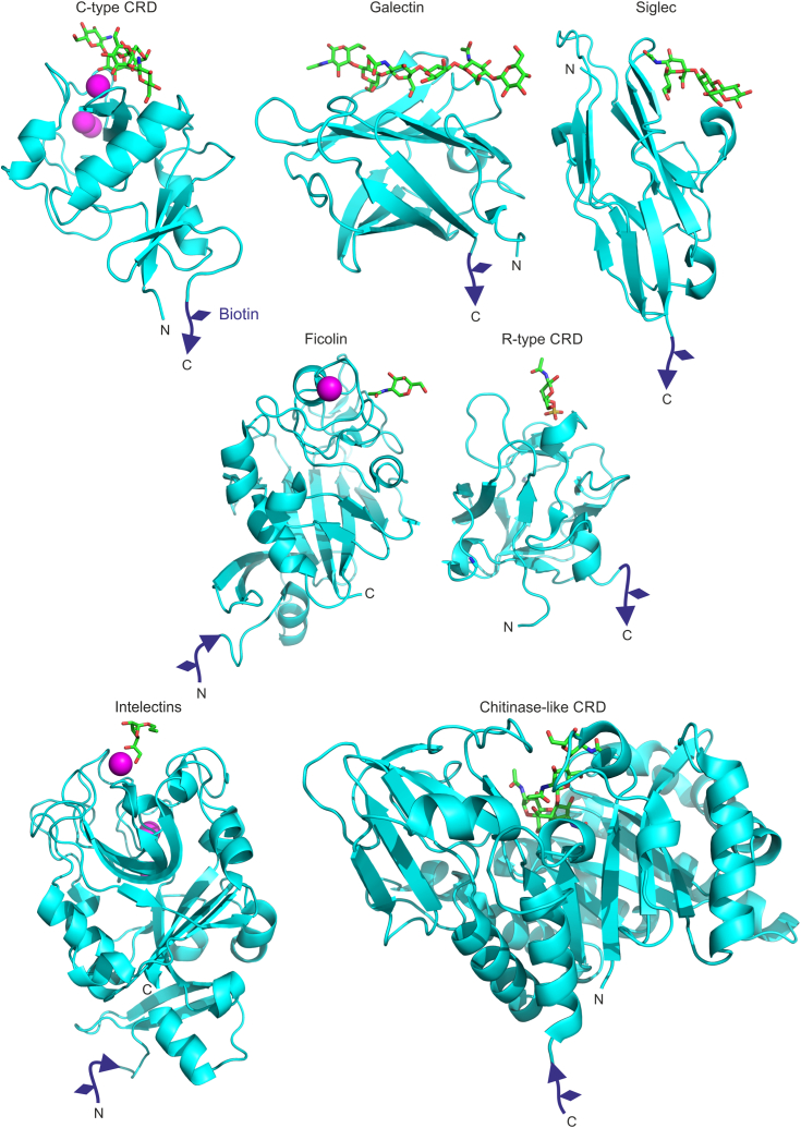 Figure 1