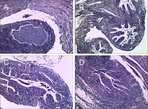 FIG. 7.