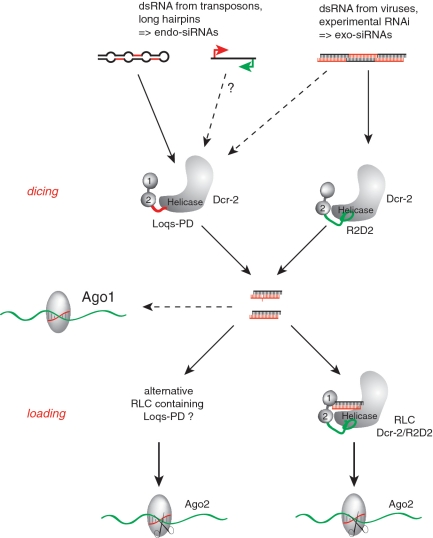 Figure 7.