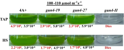 Figure 10. 