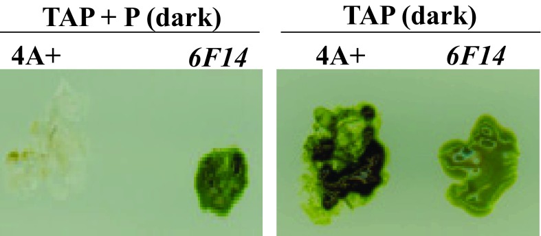 Figure 3. 