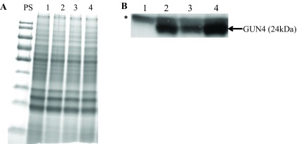 Figure 12. 