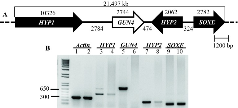 Figure 7. 