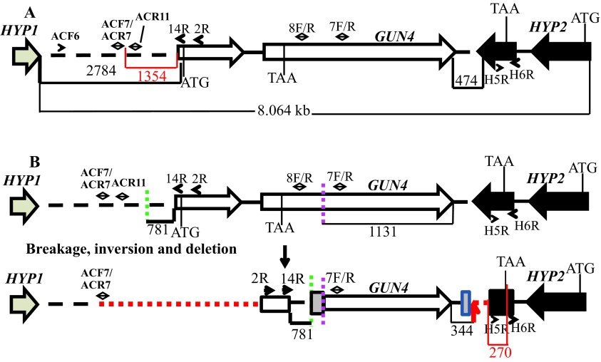 Figure 6. 