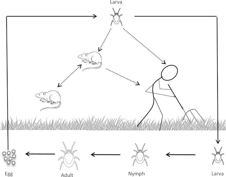 Figure 1.