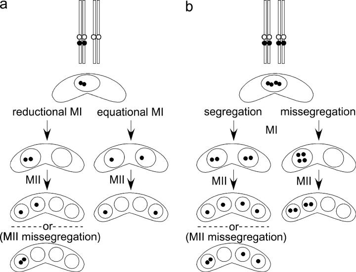 Figure 1.—