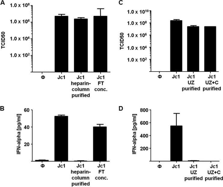 FIG 2