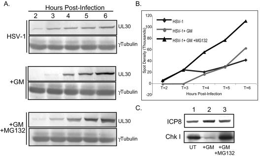 FIG. 6.