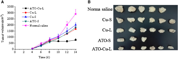 Fig. 7.