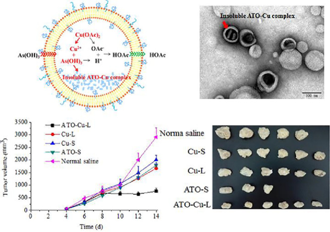 Image, graphical abstract