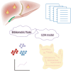 Graphical Abstract