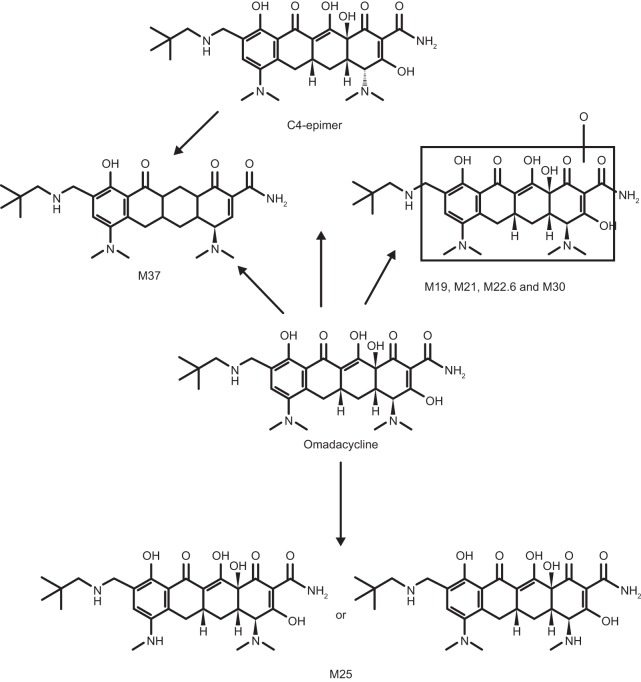 FIG 4