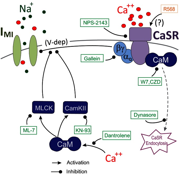 Figure 10.