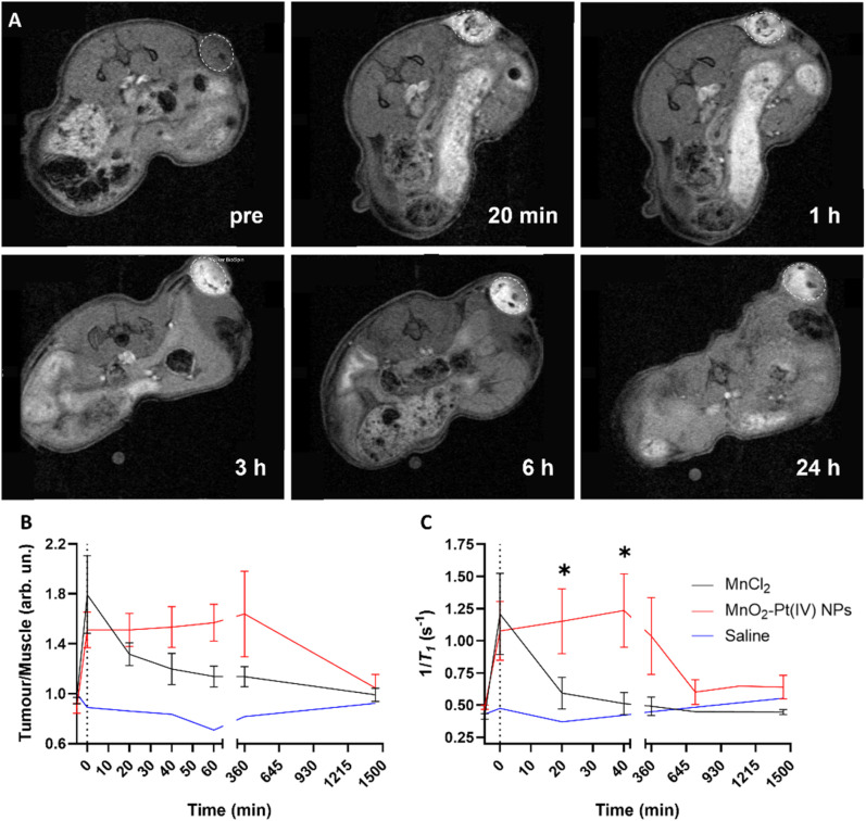 Fig. 7