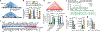 Fig. 3 |