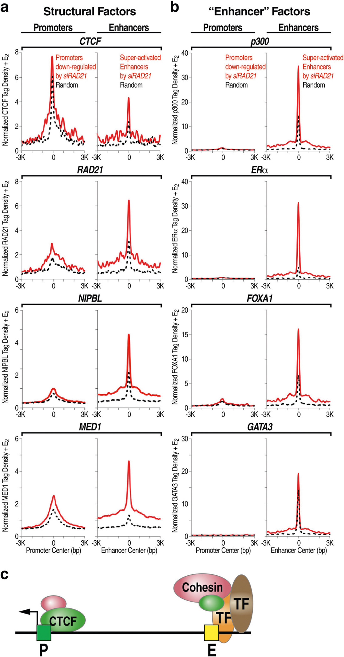 Extended Data Fig. 5 |