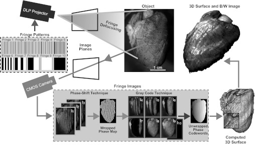 Fig. 1.