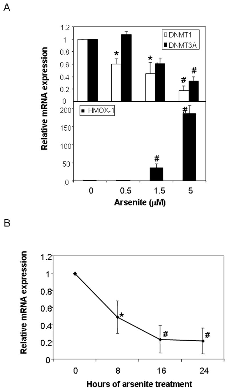 Fig.3