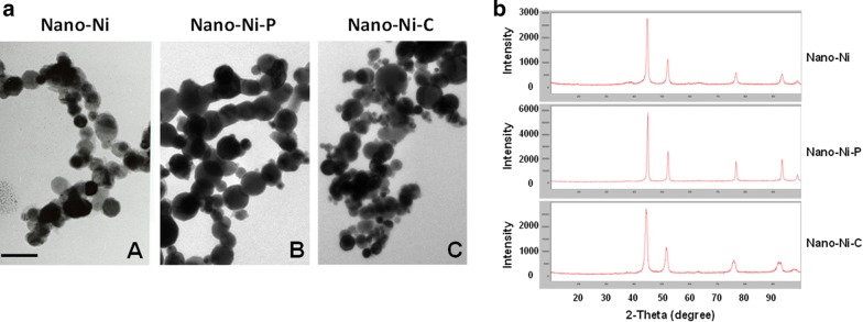 Fig. 1