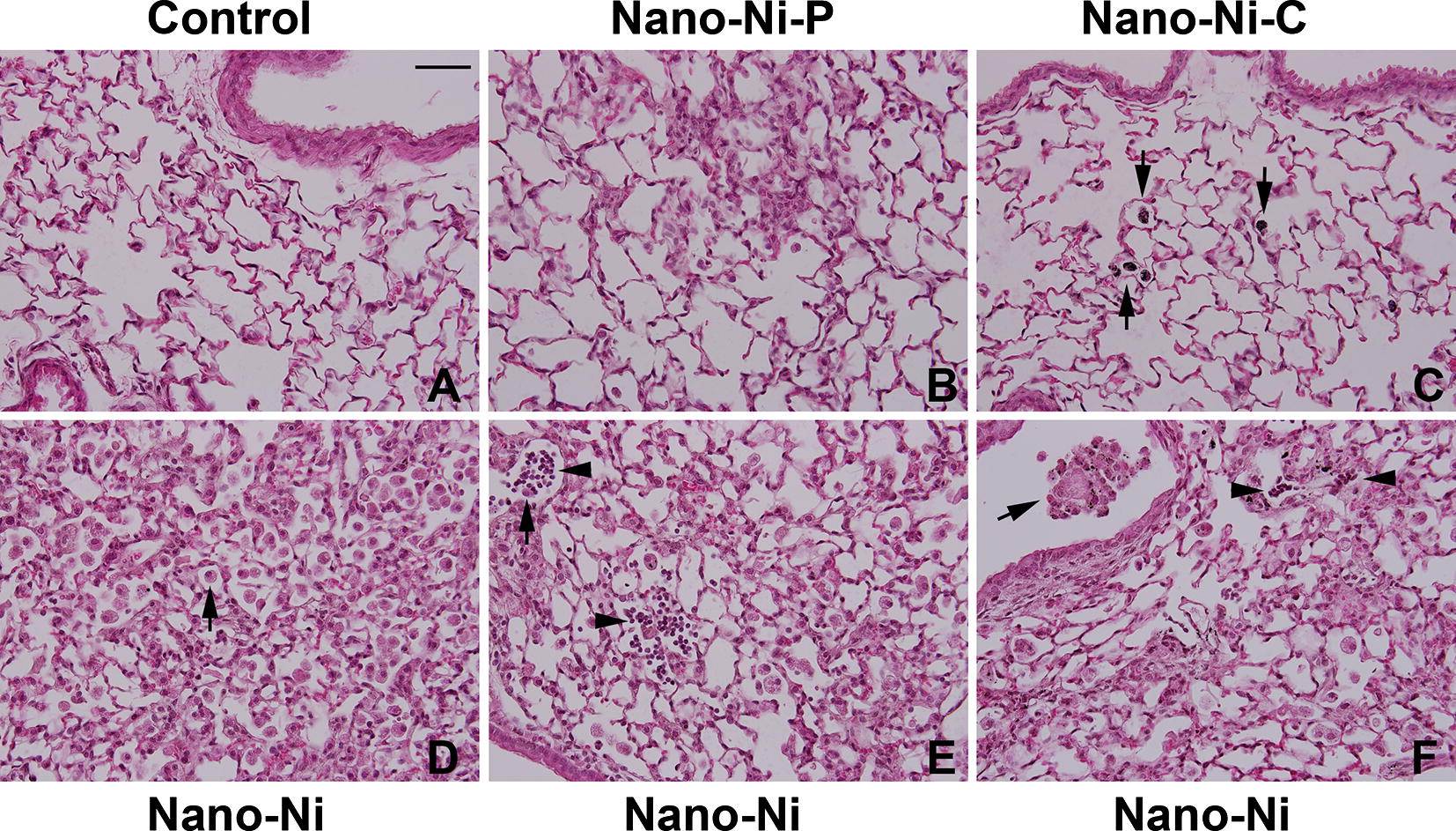 Fig. 7