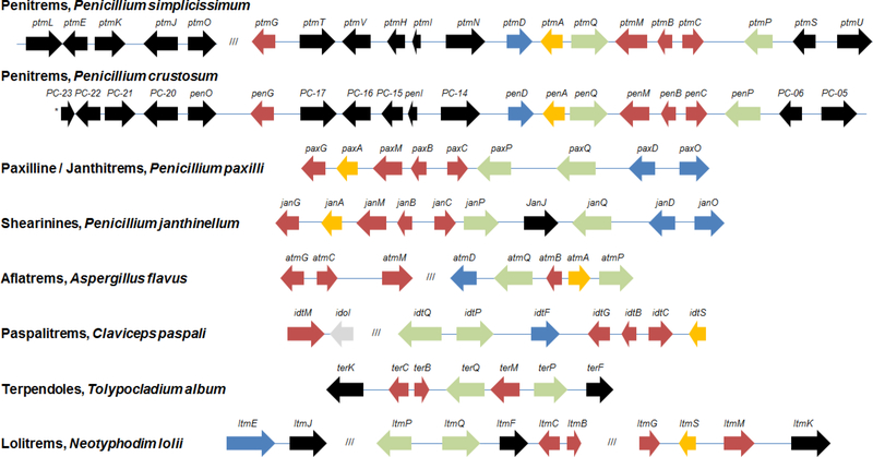 Figure 3.