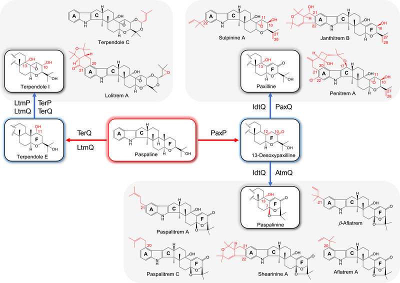 Figure 2.