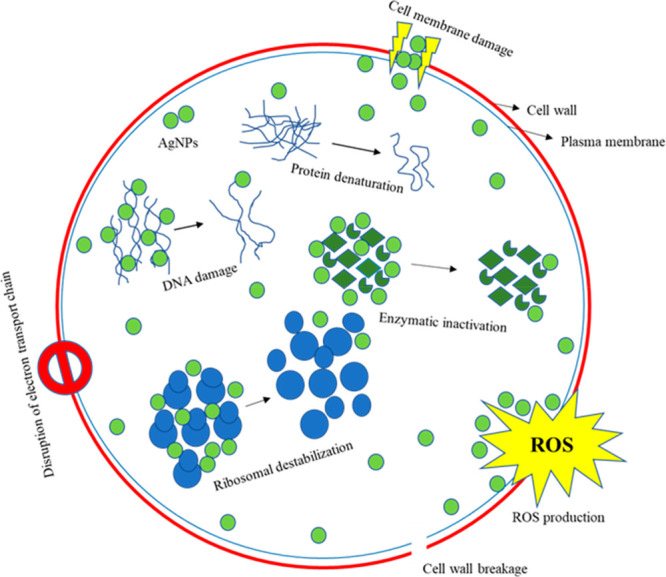 Figure 16