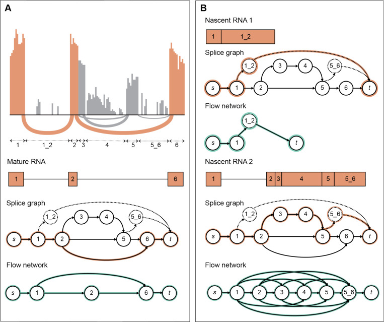 Figure 7.