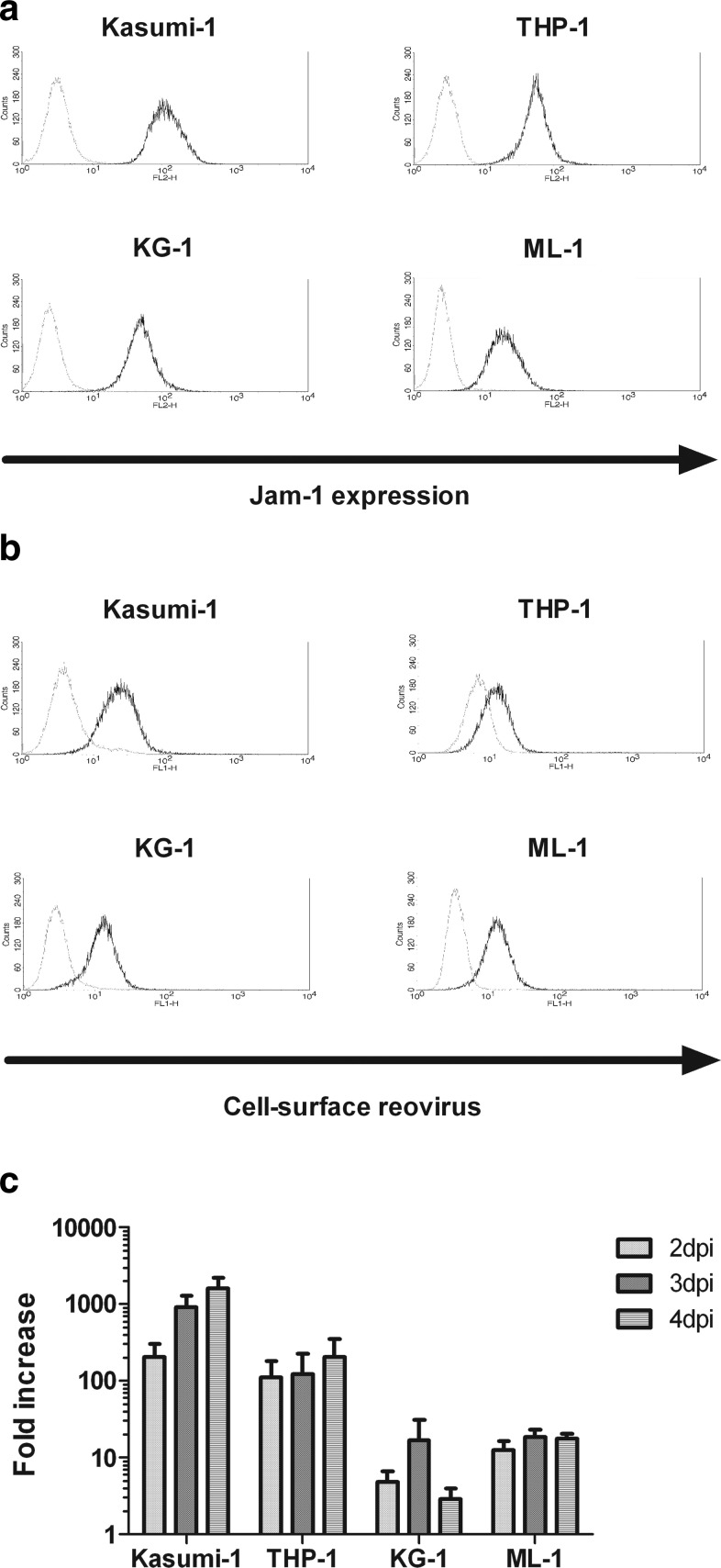 FIG. 1.