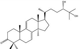 graphic file with name oncotarget-08-13770-i002.jpg