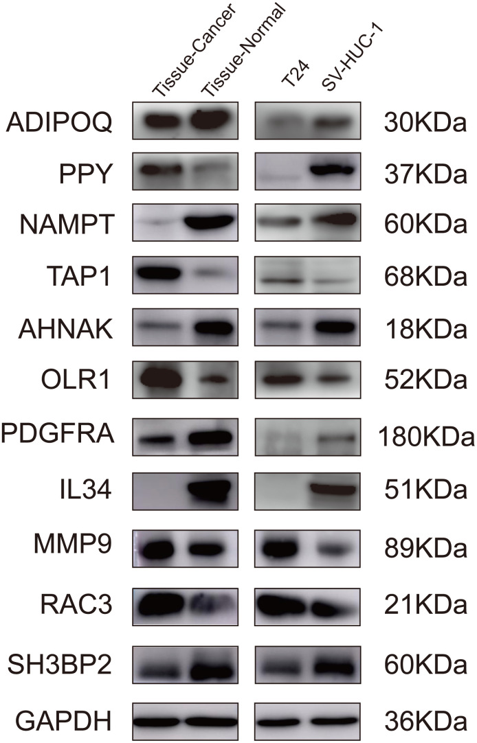 Figure 9