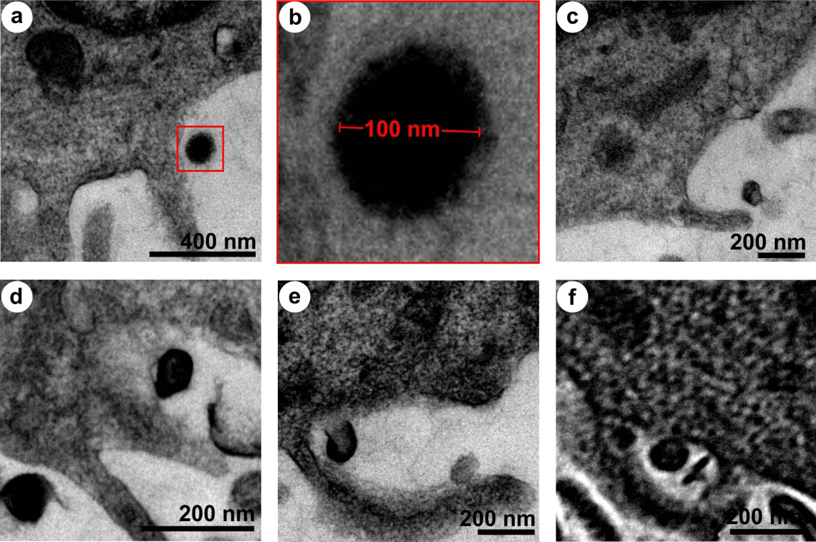 Fig. 8