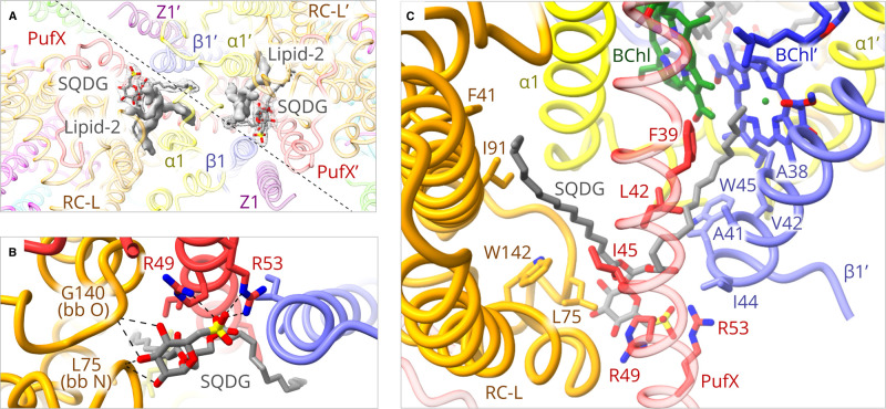 Figure 4.