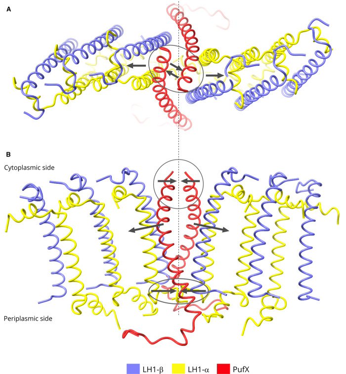 Figure 5.