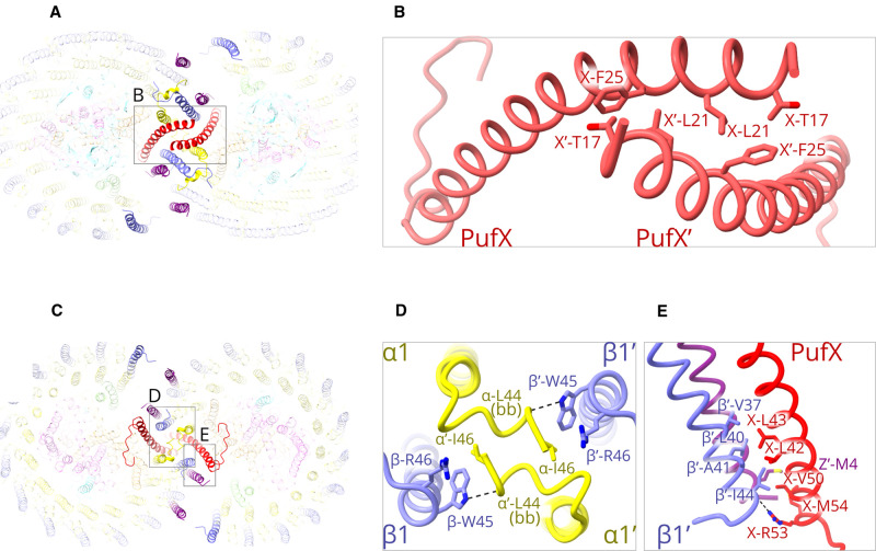 Figure 3.