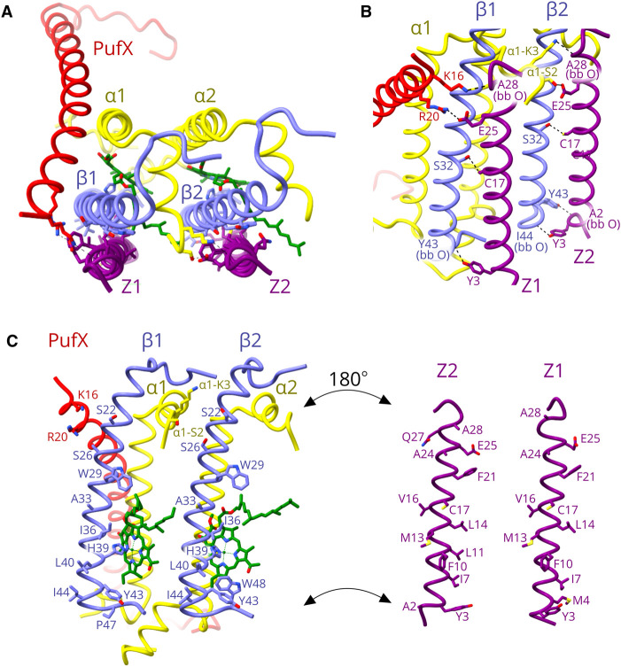 Figure 2.