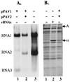 FIG. 5