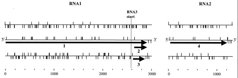 FIG. 6