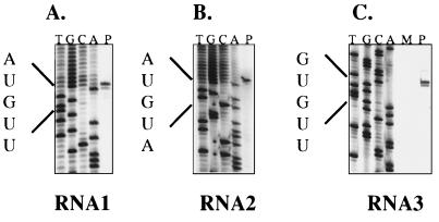 FIG. 4