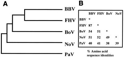 FIG. 8