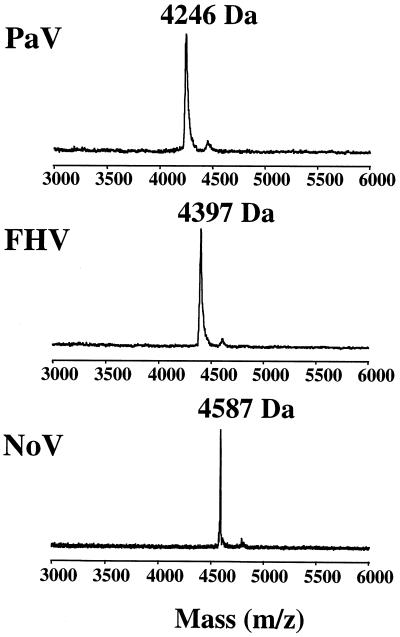 FIG. 9