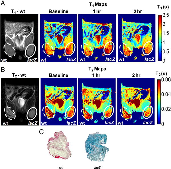 Fig. 4