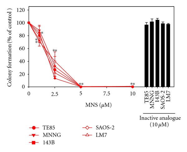 Figure 2