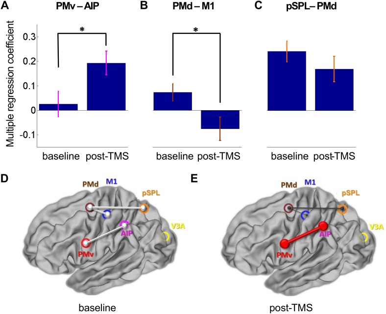 Figure 3—figure supplement 1.