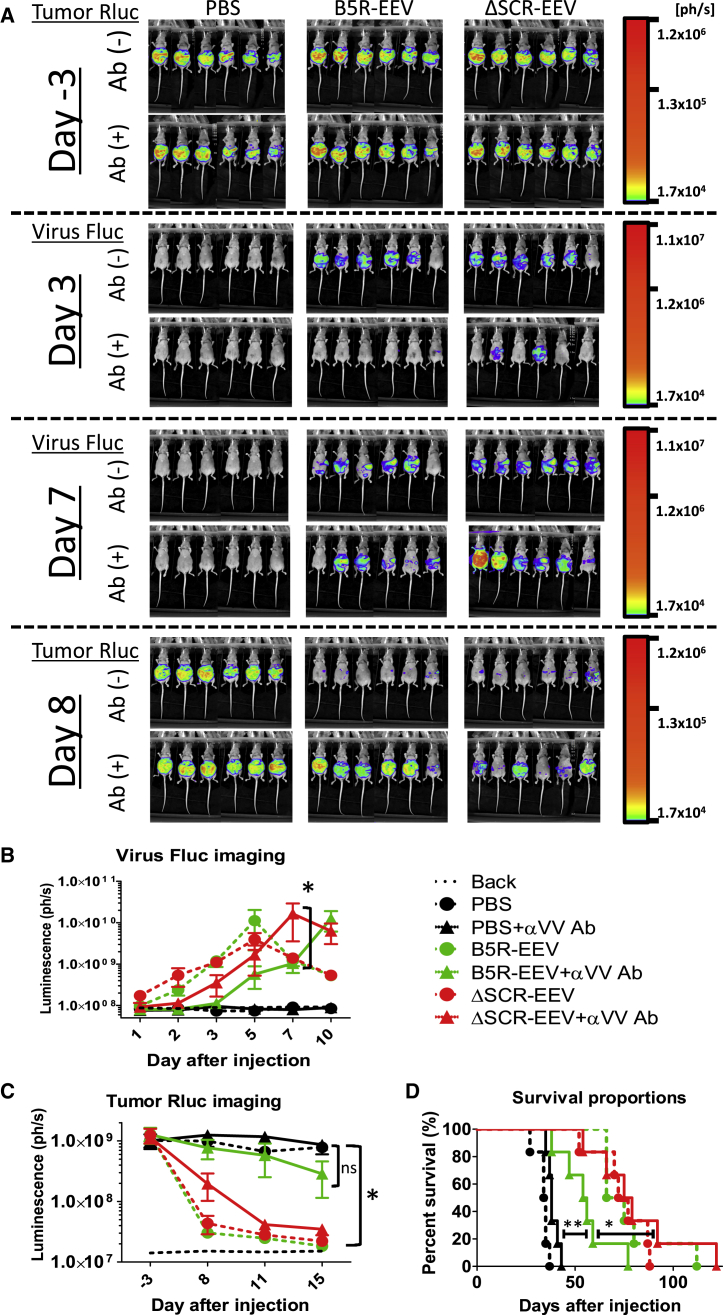 Figure 6