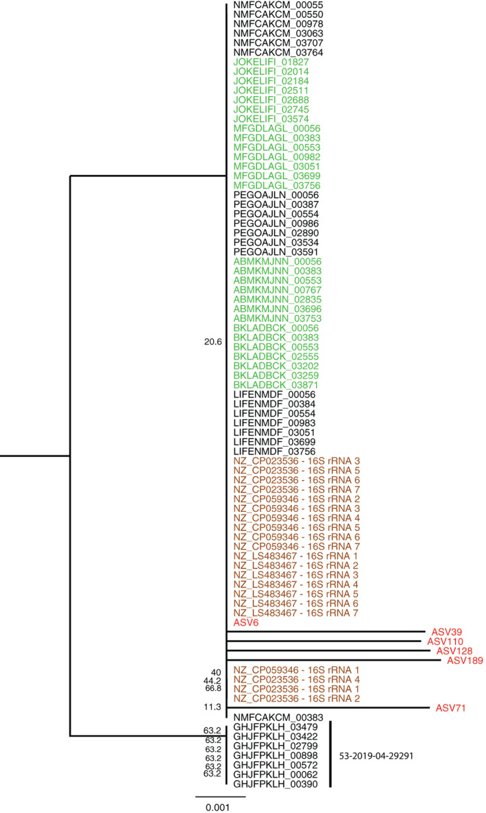 FIGURE 6